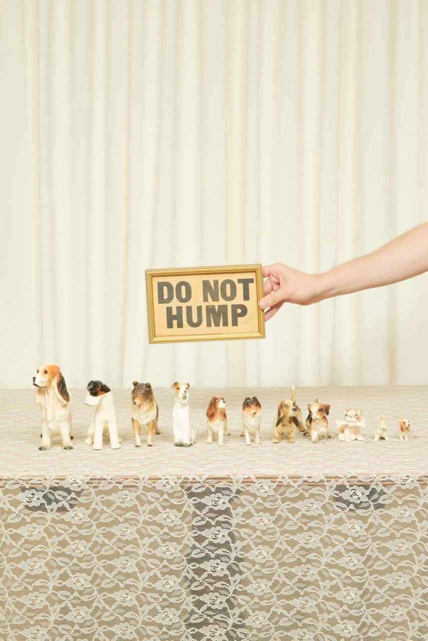 Vintage Dog Instant Collection Set/11