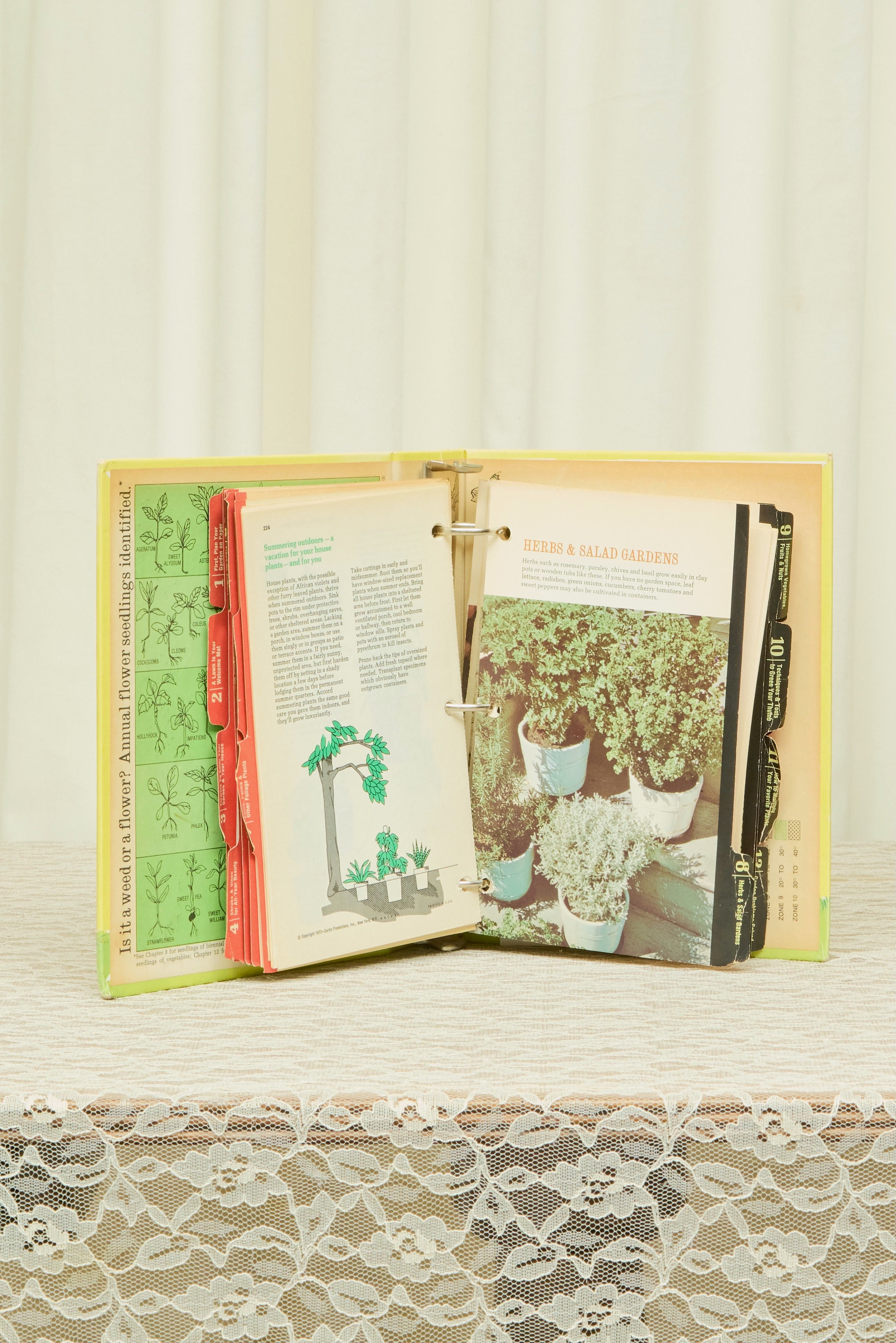 Vintage "Flower & Garden Book"