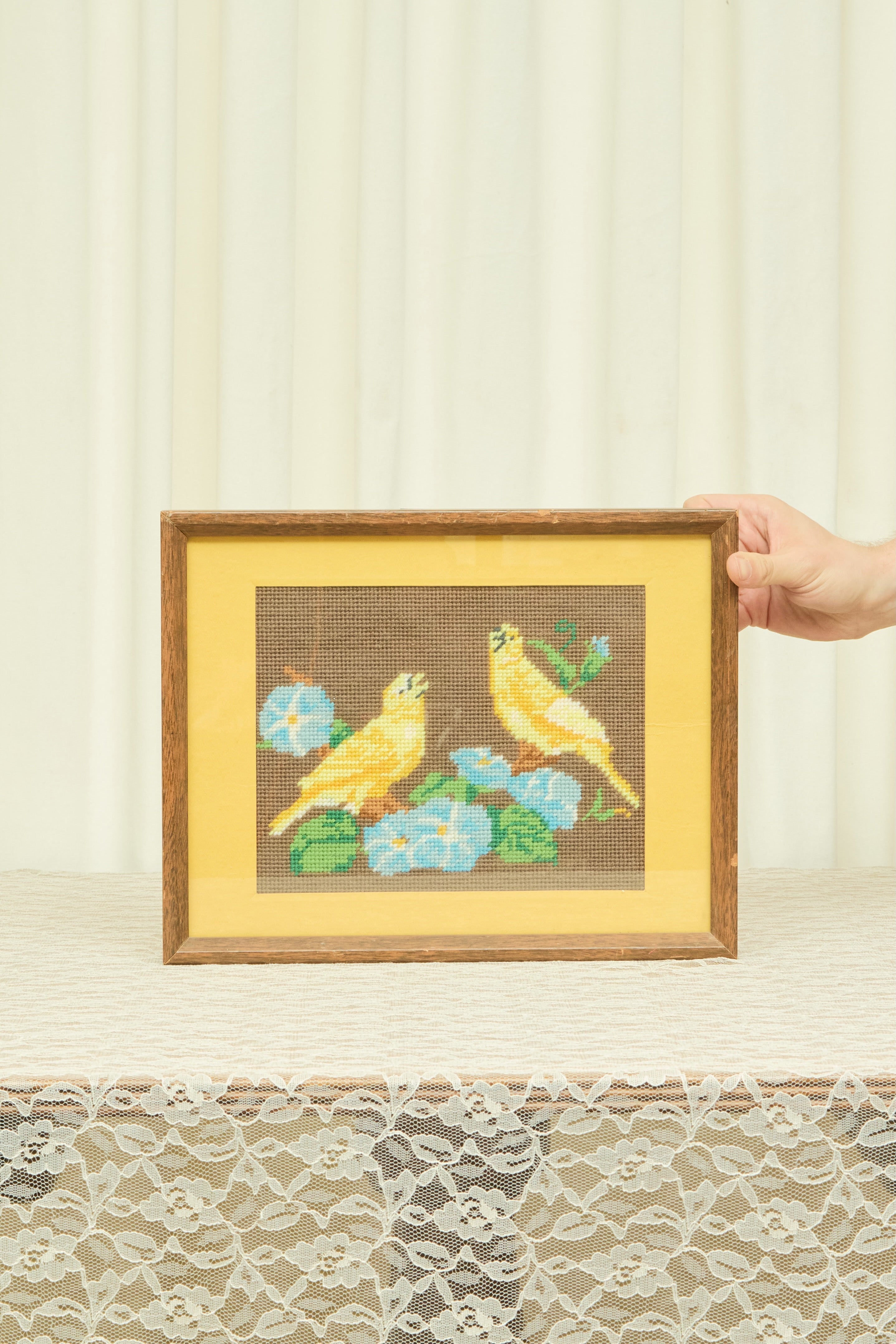 Vintage Framed Birds Needlepoint