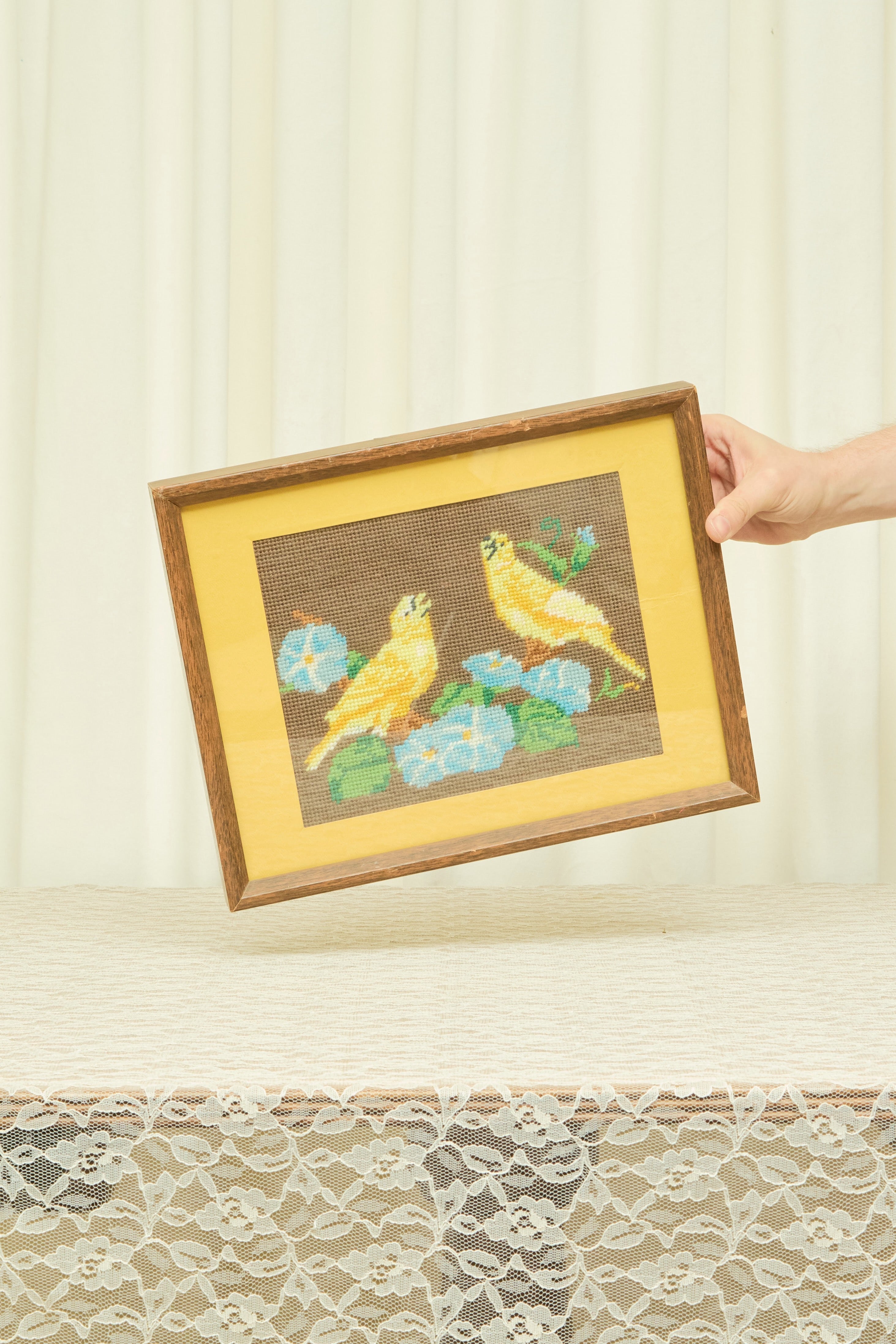 Vintage Framed Birds Needlepoint