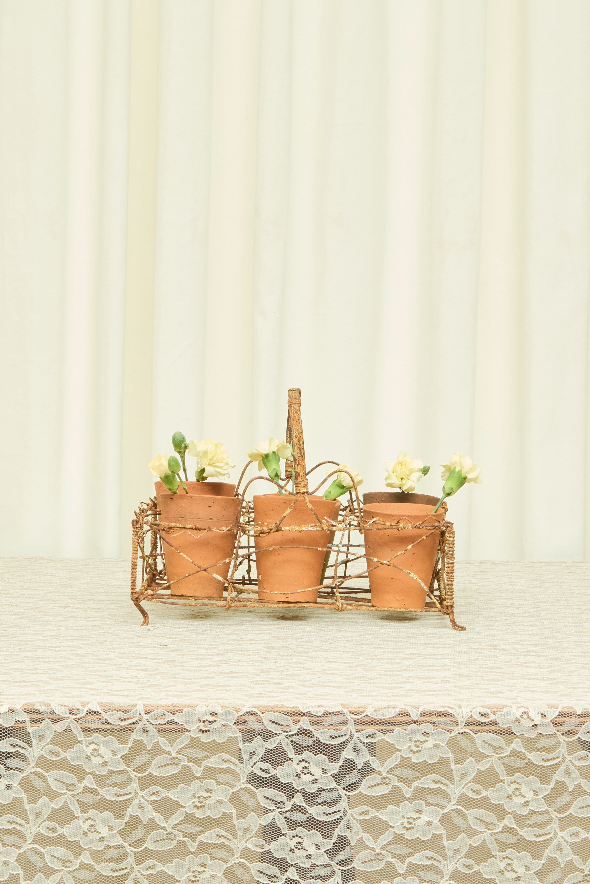 Vintage French Pots with Carrier