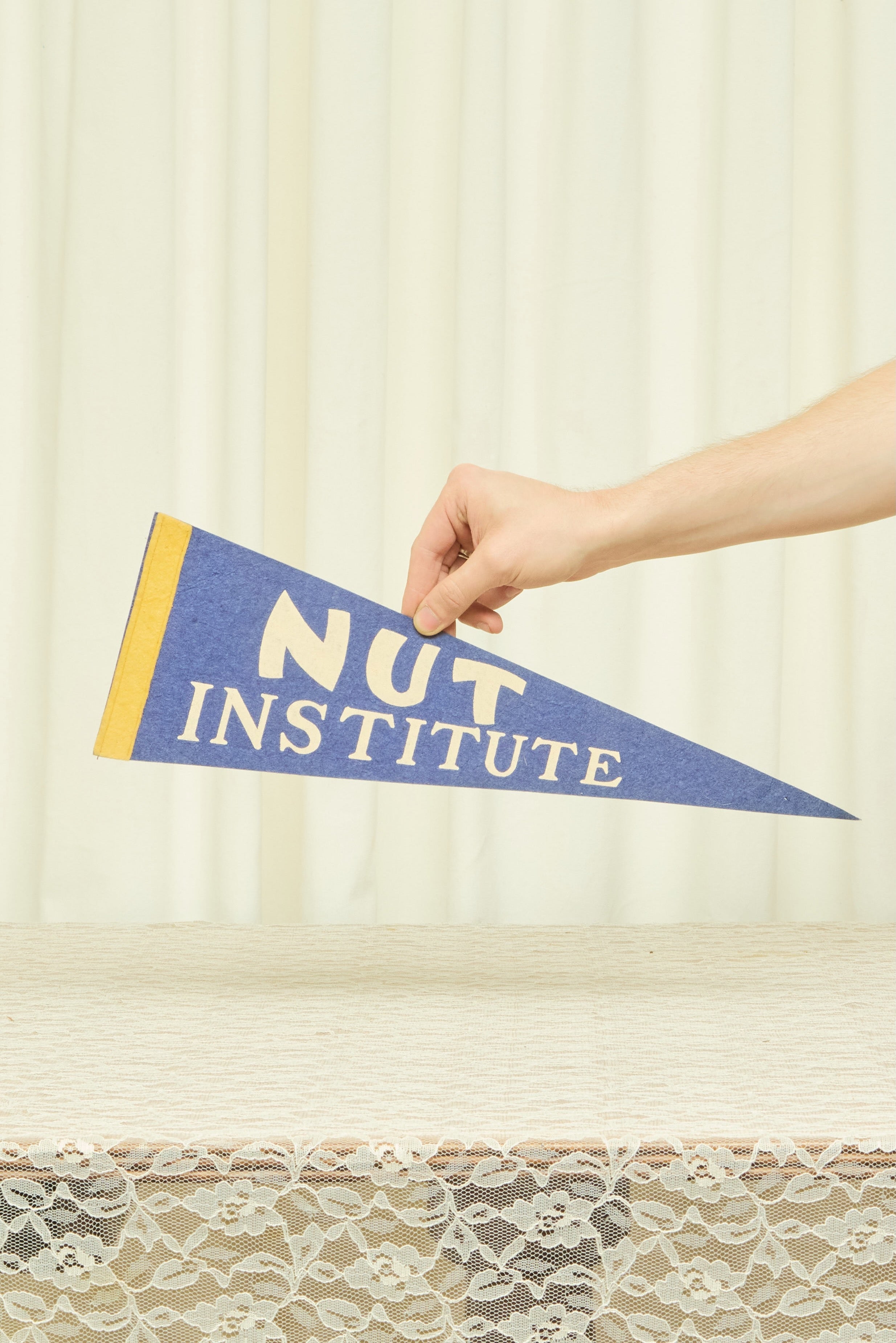 Vintage "Nut Institute" Pennant