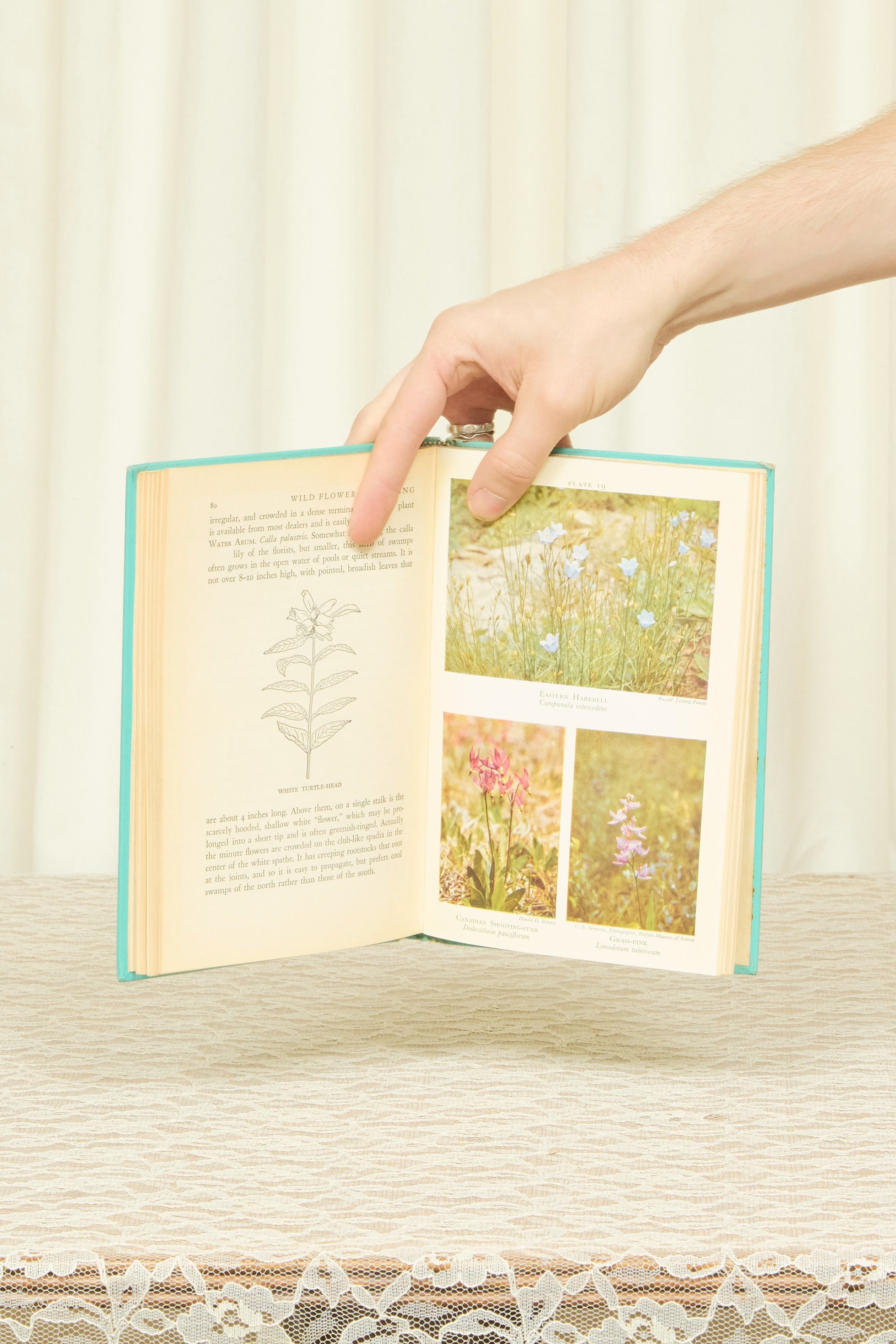Vintage "Wildflower Gardening" Book (1955)