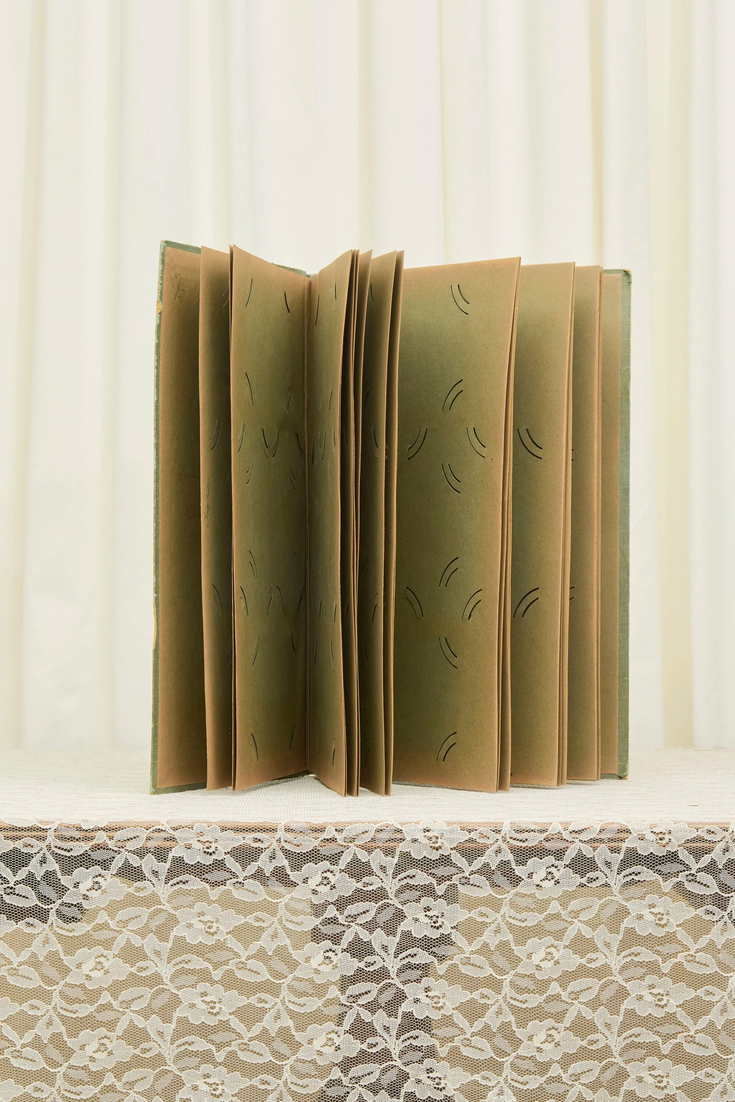 Antique Floral Large Photo Album