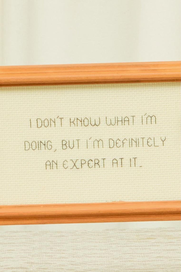 Vintage "Definetely an Expert" Framed Cross Stitch