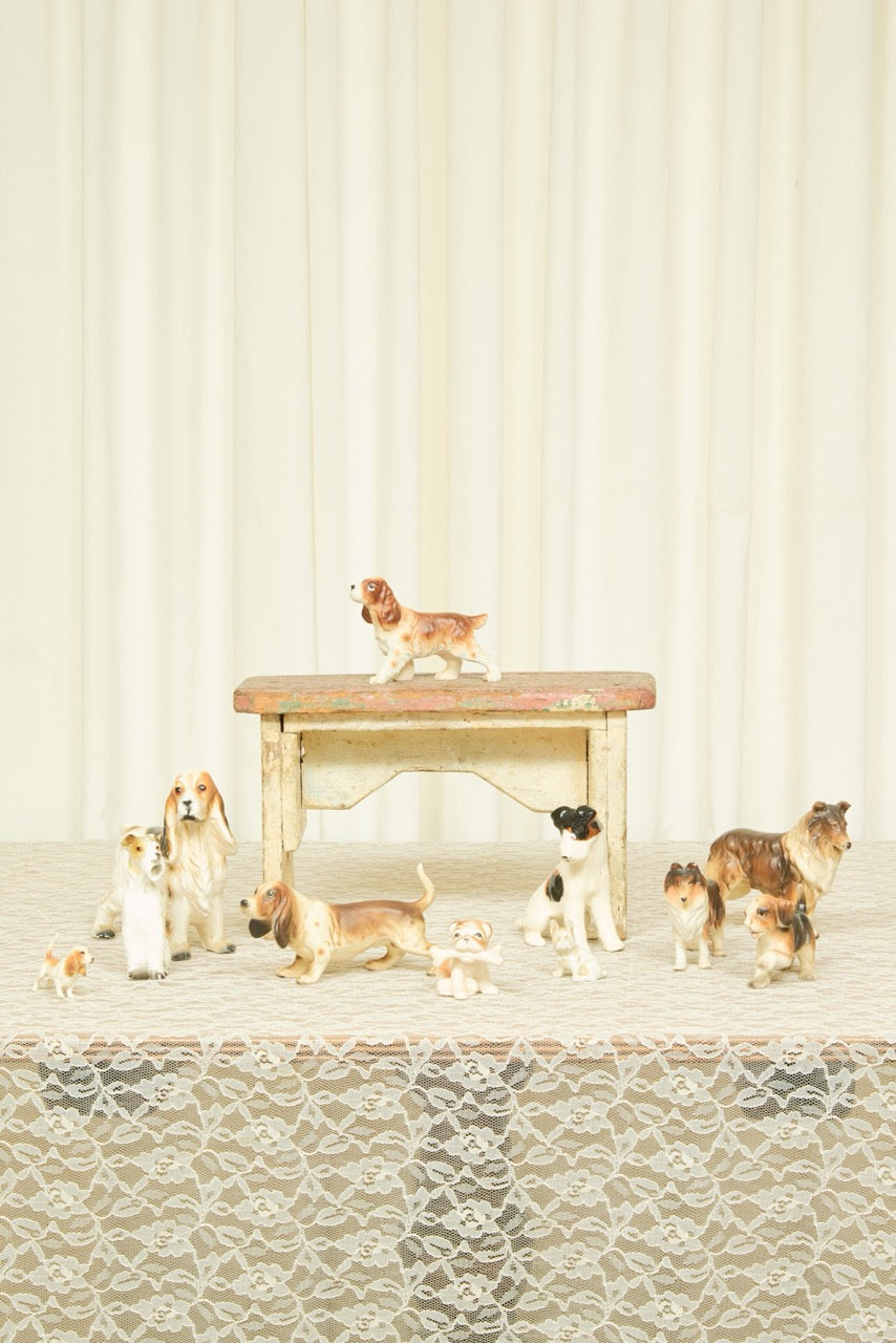 Vintage Dog Instant Collection Set/11