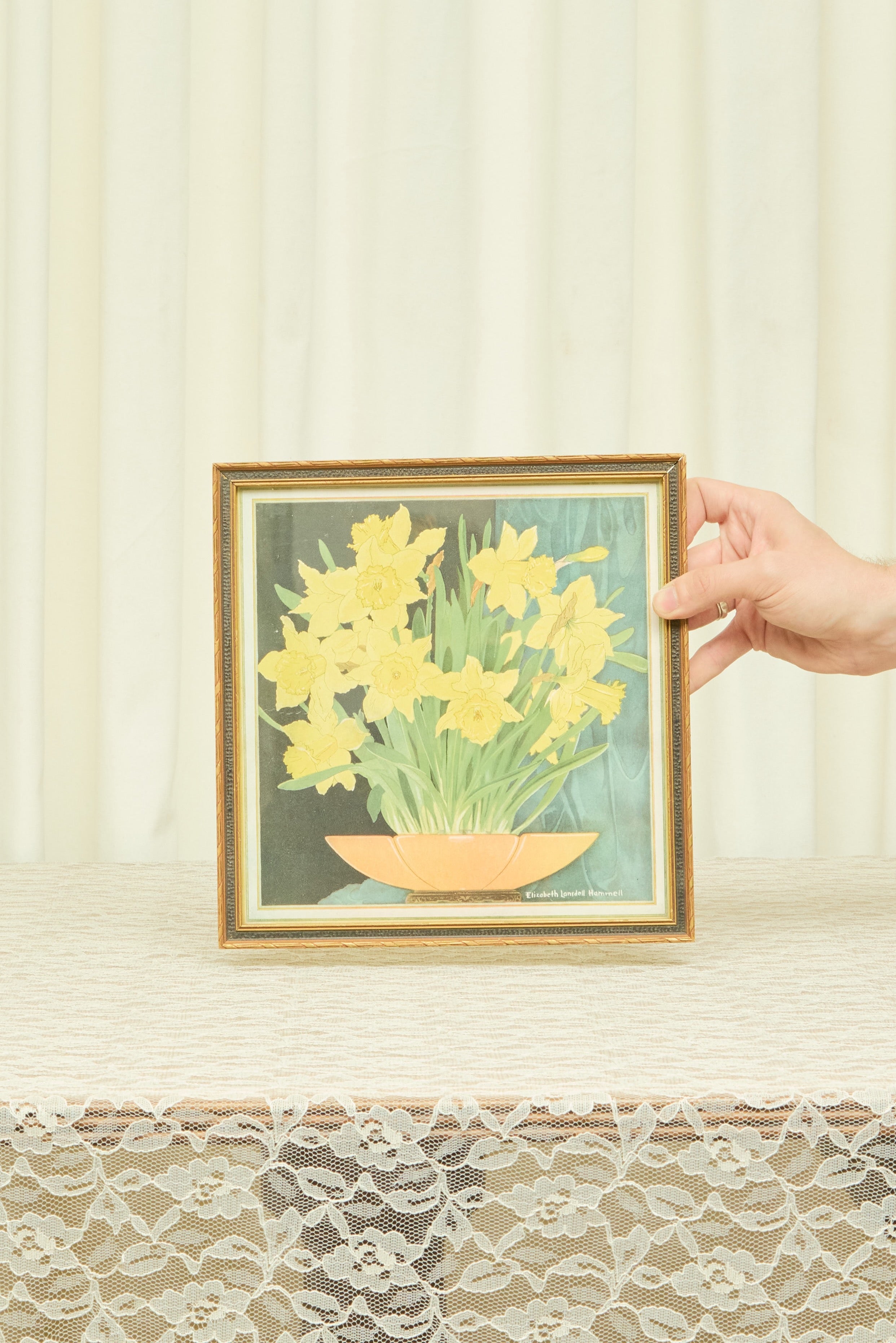 Vintage Framed Daffodil Wall Art